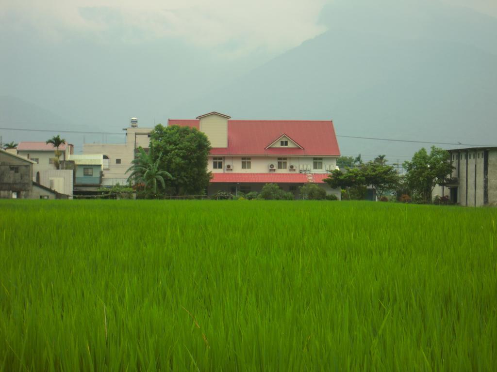 Golden Flower Homestay Yuli Exterior photo